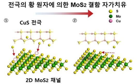 파이낸셜뉴스