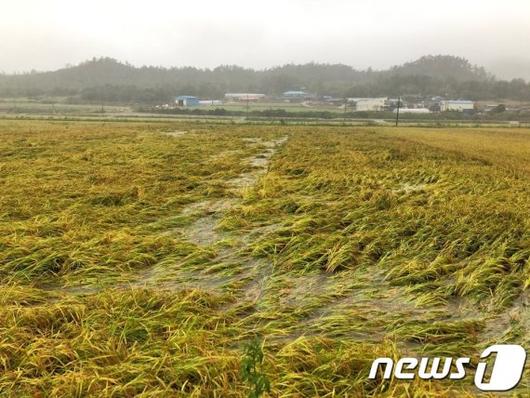 파이낸셜뉴스