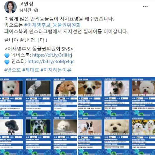 (사진 = 고민정 의원 페이스북) *재판매 및 DB 금지 /사진=뉴시스