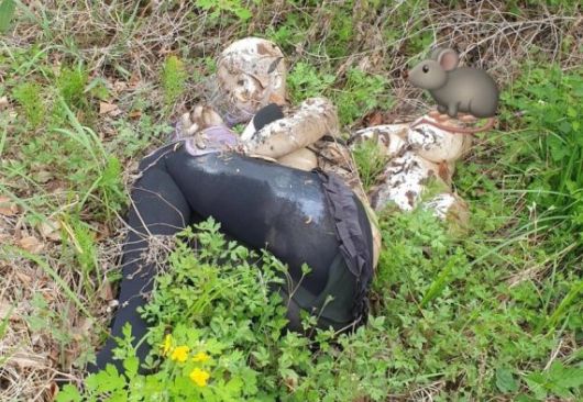 경기도 광주시 곤지암의 한 저수지에 버려진 리얼돌. /사진=뉴스1