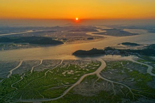 무안 황토갯벌랜드 무안시 제공                                      고하도에서 본 목포대교 목포시 제공