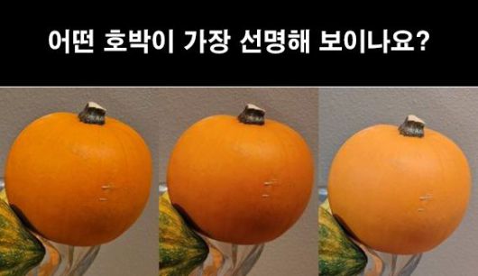 갤럭시S23울트라, 갤럭시S22울트라, 픽셀7프로(왼쪽부터)로 촬영했다는 사진. 아이빙저우 웨이보 캡처