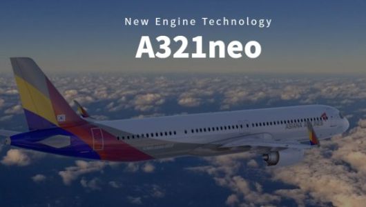 아시아나항공 홈페이지 캡처