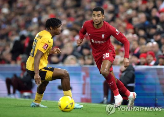 리버풀 데뷔전을 치르는 코디 학포(연합뉴스)