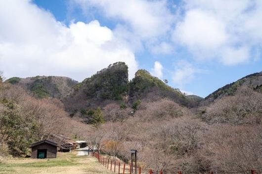 파이낸셜뉴스