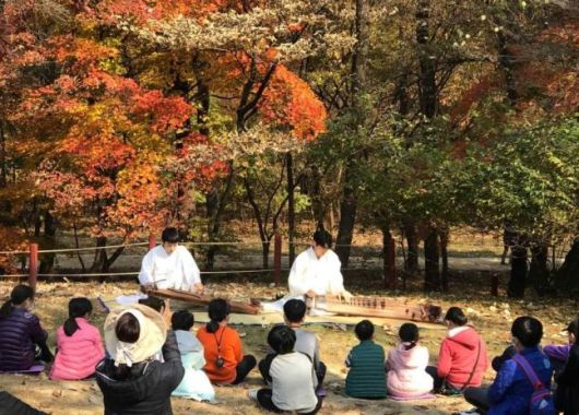 동구릉 나무 이야기와 음악 산책 행사/사진 제공=문화재청