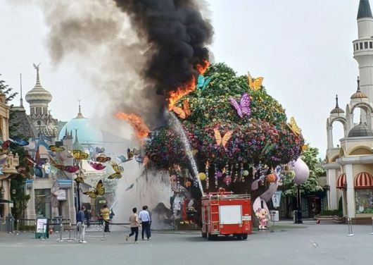 12일 오전 경기도 용인시 에버랜드 야외 '매직트리' 조형물에서 화재가 발생, 출동한 소방대원들이 화재 진압을 하고 있다. 뉴스1