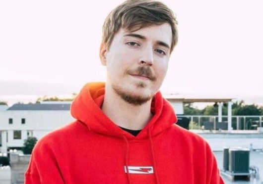 미스터비스트 /사진=미스터비스트뉴스 캡처