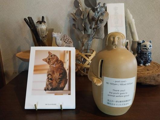 유후인에서 1박을 한 숙소 '아이미 올라 하우스(imi ola house)'에서 사는 고양이 '사보이' 군으로 만든 엽서. /사진=이환주 기자