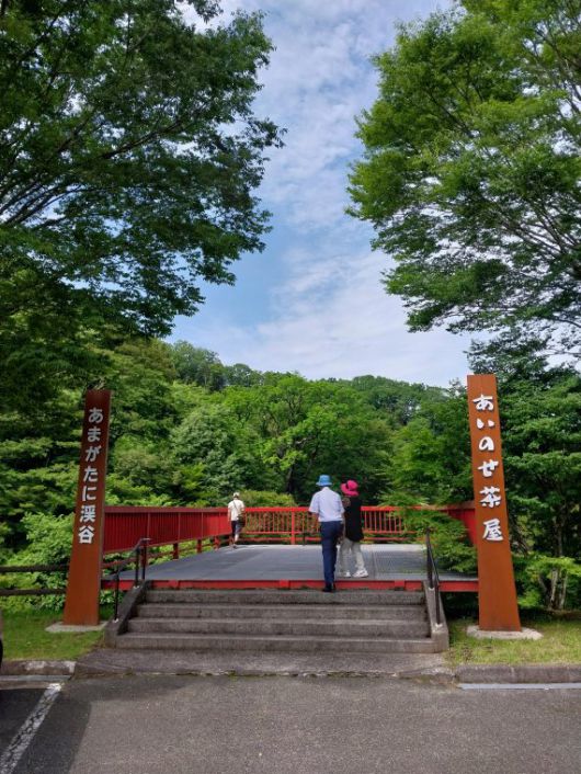 우동집 인근에 마련된 전망대 모습 / 사진=이환주 기자