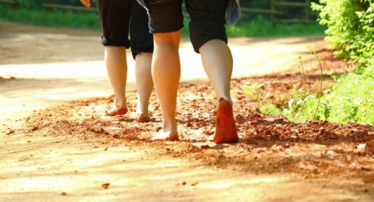 계족산황톳길에서 맨발 걷기를 하면 정신이 맑아지고 몸이 개운해지는 ‘에코힐링’을 체험할 수 있다.                                    계족산황톳길에 들어서면 어깨엔 가방을 메고 손에는 신발을 쥔 여행객들이 삼삼오오 걸으며 이야기꽃을 피우는 모습을 볼 수 있다.                                    계족산황톳길의 연간 방문객은 100만명 이상으로 추산되며, 국내는 물론 해외에까지 알려져 외국인 관광객들도 눈에 띄게 늘었다.