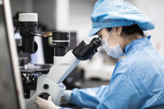 대웅제약 연구원이 전임상시험을 진행하고 있다. 대웅제약 제공.