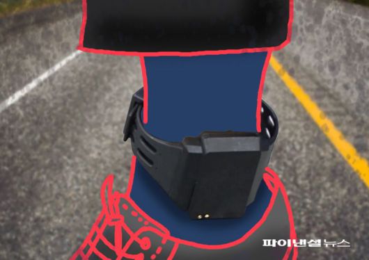 그래픽=이준석 기자