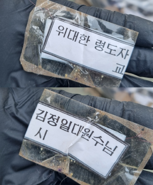 파이낸셜뉴스