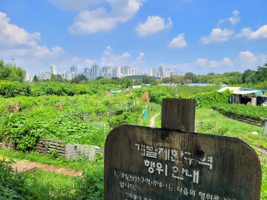 파이낸셜뉴스