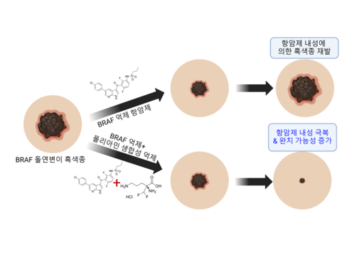 파이낸셜뉴스