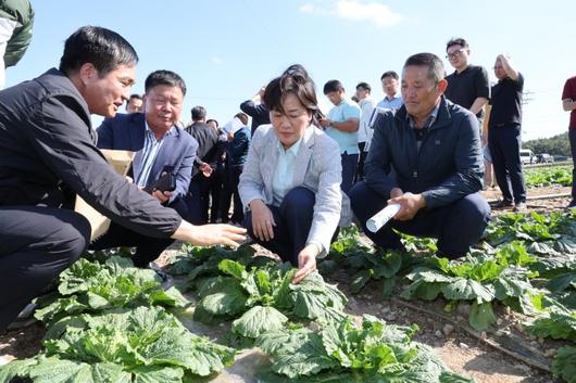 파이낸셜뉴스