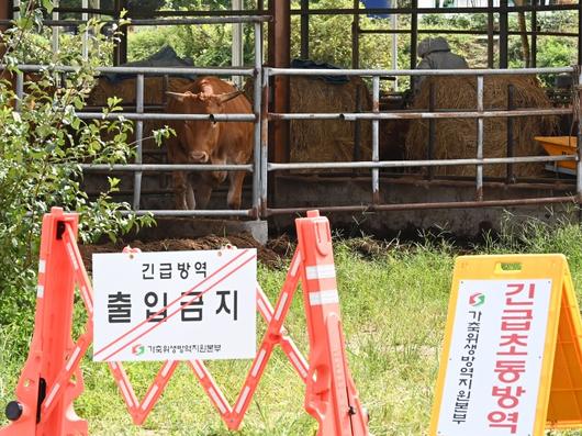 파이낸셜뉴스