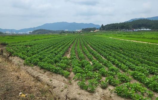 파이낸셜뉴스