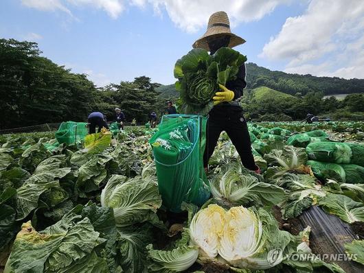 파이낸셜뉴스