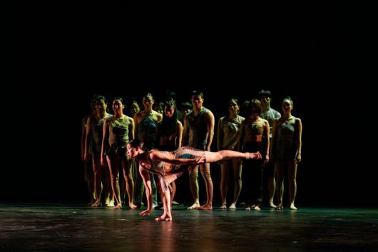 지난달 20일 UAE 아부다비에 위치한 뉴욕대아부다비 레드홀에서 국립현대무용단 '정글' 공연이 펼쳐지고 있다. 한국국제문화교류진흥원 제공