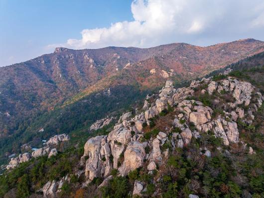 파이낸셜뉴스