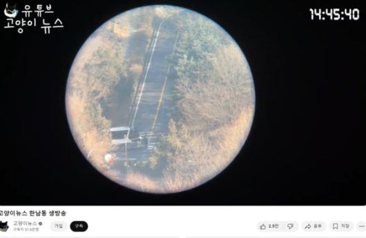 유튜브 채널 '고양이뉴스'가 지난 14일 밤부터 서울 용산구 한남동 대통령 관저에서 윤석열 대통령의 2차 체포영장 집행을 생중계했다. 출처=유튜브 채널 '고양이뉴스'