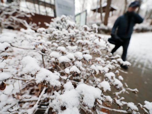 (사진은 기사 내용과 무관함) / 뉴스1 ⓒ News1 /사진=뉴스1