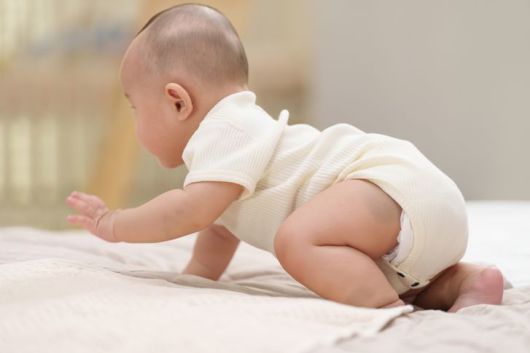 자료사진. 게티이미지뱅크                                    배우 이필모의 아들 도호. KBS '슈퍼맨이 돌아왔다'