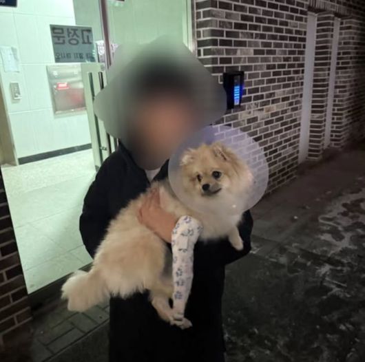 파이낸셜뉴스