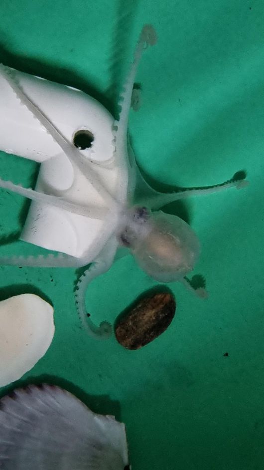 파이낸셜뉴스