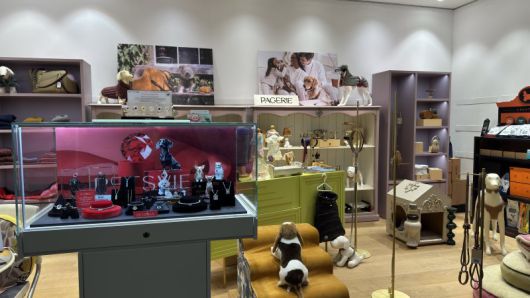 서울 강남구 청담동 피엔폴루스 SSG 1층에 위치한 하이엔드 반려동물 셀렉샵 '도프너' 1호 오프라인 매장.                                       도프너 매장 내에서 판매 중인 리드줄. 사진=신지민 기자