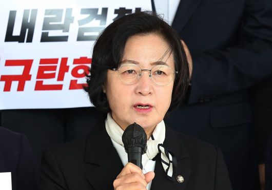 더불어민주당 내란진상조사단 추미애 의원이 심우정 검찰총장을 면담하기 위해 10일 서울 서초구 대검찰청으로 향하기 전 발언하고 있다. /사진=연합뉴스