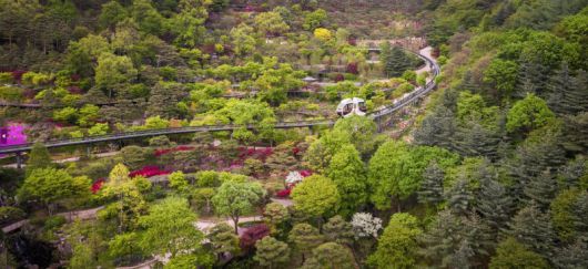 경기 광주 화담숲 모노레일