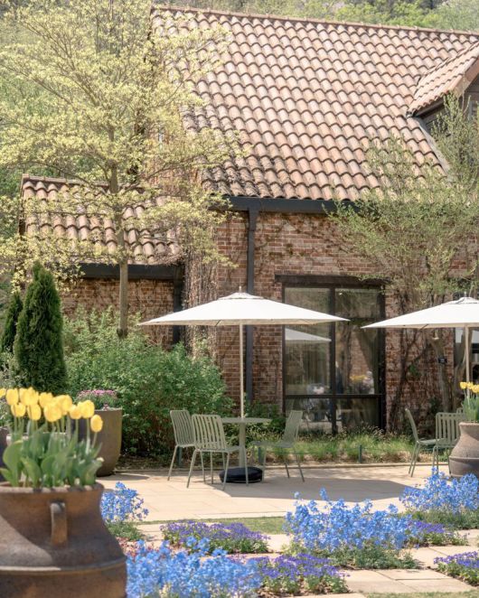 봄꽃과 만날 수 있는 강원 춘천 제이드가든