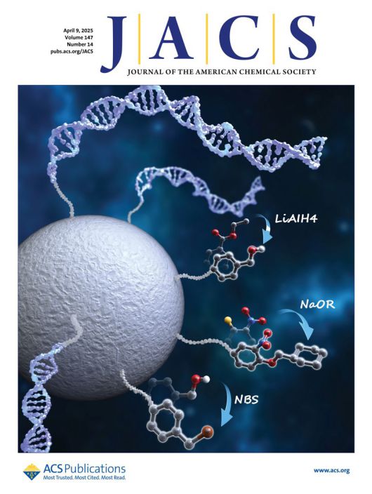 신약 후보물질 발굴 속도를 높일 수 있는 나노 기술 플랫폼 개발 연구를 담은 화학 분야 국제 학술지 ‘미국화학회지(Journal of the American Chemical Society)’ 부표지. POSTECH 제공