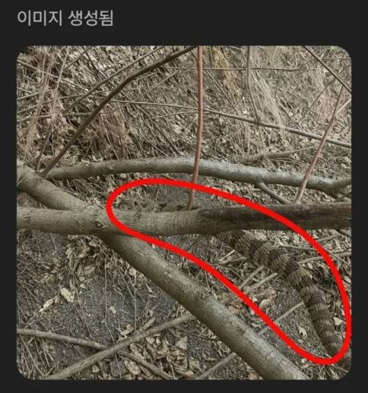 /사진=온라인 커뮤니티