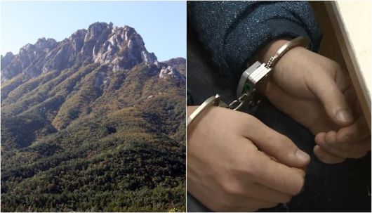 /사진=연합뉴스