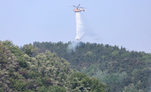 대구 북구 함지산 산불 이틀째인 지난달 29일 오후 산불 진화 작전에 투입된 산림청 헬기가 함지산 상공에서 물을 뿌리고 있다. 뉴스1