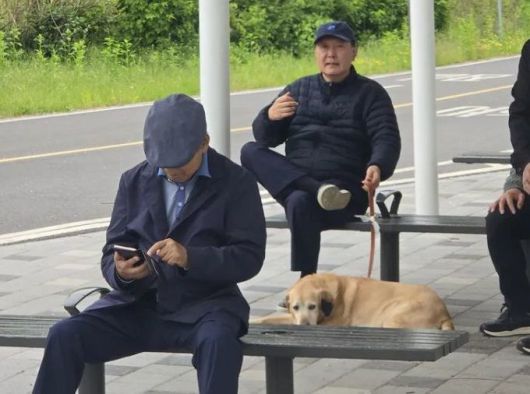 5일 서울 동작대교 부근 한강공원에서 포착된 윤석열 전 대통령과 반려견의 모습. 온라인 커뮤니티 캡처 /사진=파이낸셜뉴스 사진DB