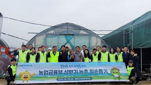 농협은행 농업금융부 및 임진농협 임직원들이 9일 경기도 연천군 소재 토마토 농가를 찾아 일손돕기 후 기념촬영을 하고 있다. 농협은행 제공