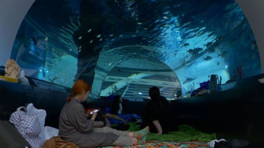 국립해양박물관의 뮤지엄나잇 오션필름위크. 국립해양박물관 제공