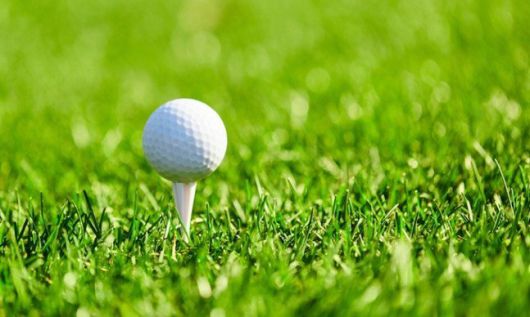 /사진=연합뉴스