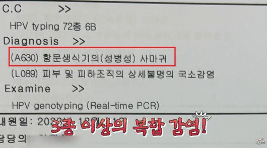 /사진=투우부부