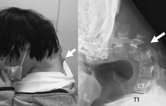 /사진=데일리메일 갈무리