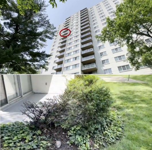 2세 아기가 떨어진 아파트(위)와 아기가 발견된 나무 덤불. 출처=미 폭스뉴스 갈무리