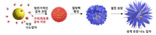 성게모양 나노 입자 모습. KIST 제공