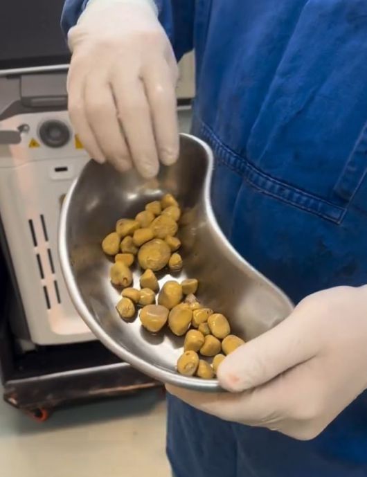 /사진=니드투노우