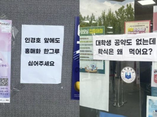 [뉴시스] 이준석 개혁신당 대선 후보가 ‘학식 먹자 이준석’ 캠페인차 인하대학교를 방문한 가운데, 학생들의 반응이 온라인상에서 화제다. (사진=온라인 커뮤니티 캡처) 2025.05.22 *재판매 및 DB 금지 /사진=뉴시스