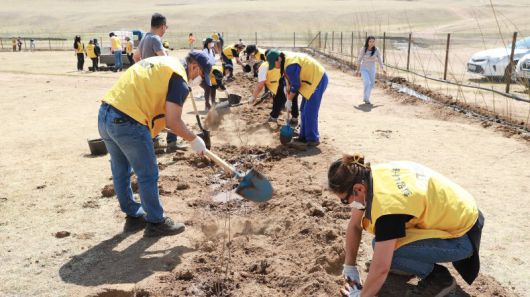 지난 12일 이마트 직원들이 몽골에서 나무심기 운동인 '포레스트 투모로우' 캠페인에 참여하고 있다. 이마트 제공
